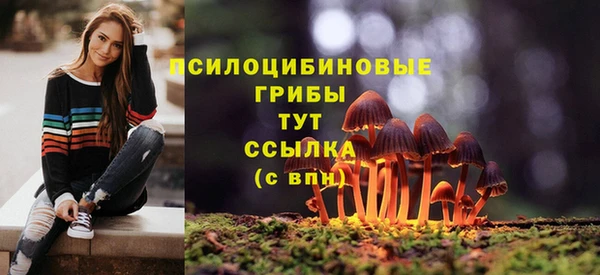 мяу мяу мука Балахна